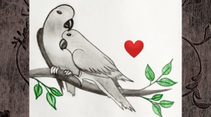 Parrot Drawing Step 5