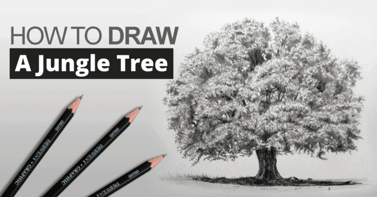 how-to-draw-a-jungle-tree
