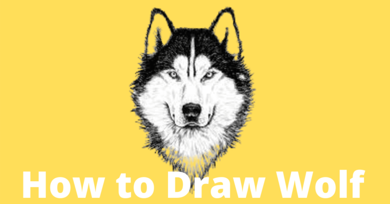 wolf-drawing