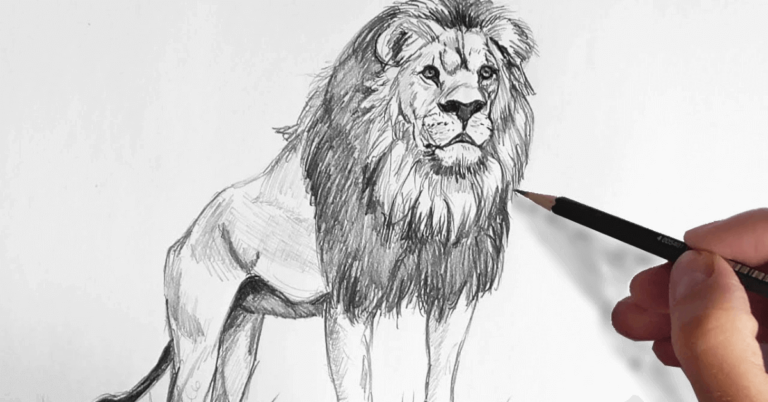 lion-drawing