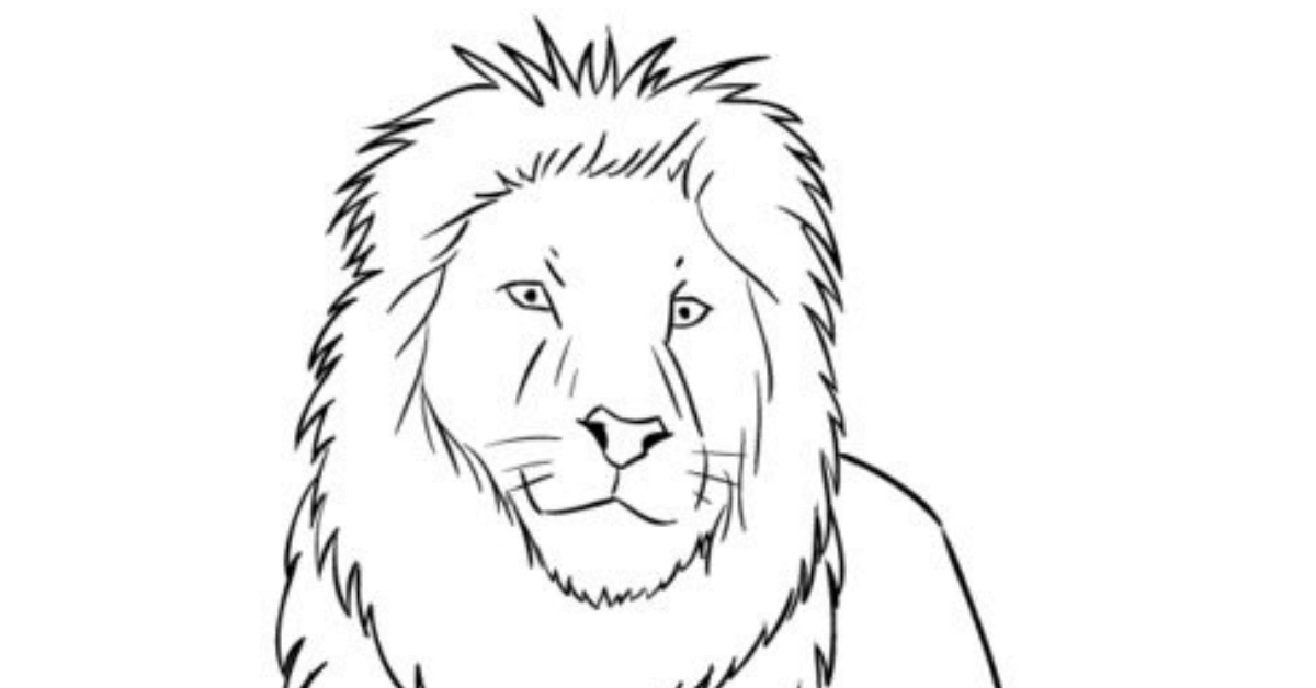 lion-face-drawing