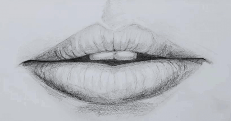 How to Draw Lips Step by Step- Learn the Basics
