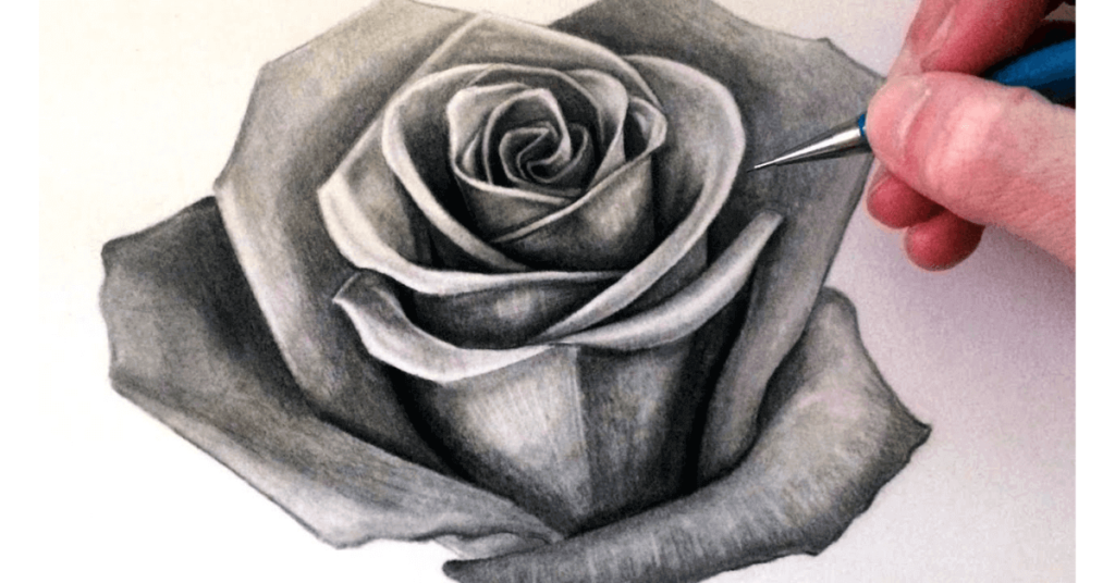 How-To-Draw-Realistic-Rose-Petals