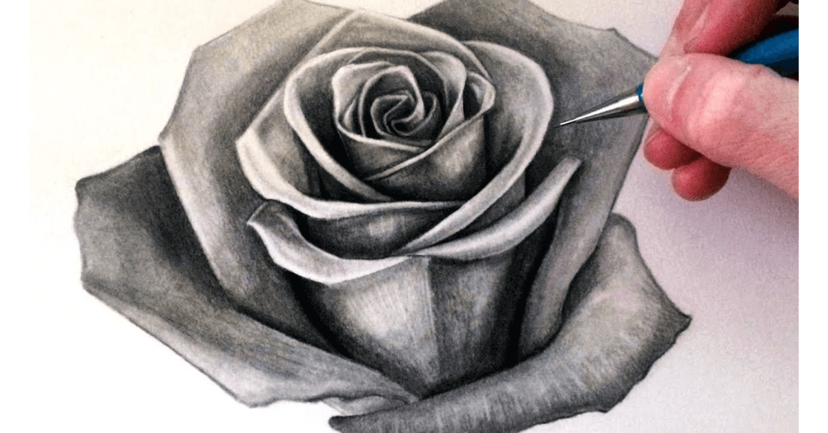 How-To-Draw-Realistic-Rose-Petals