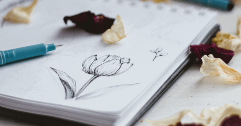 A Simple Guide to Draw a Rose with Pencil