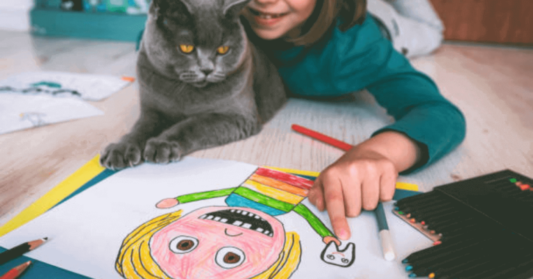 cat-drawing-for-kids