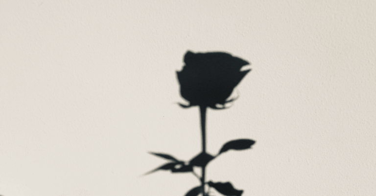 How to Draw a Simple Rose – The First Step in Learning How to Do It