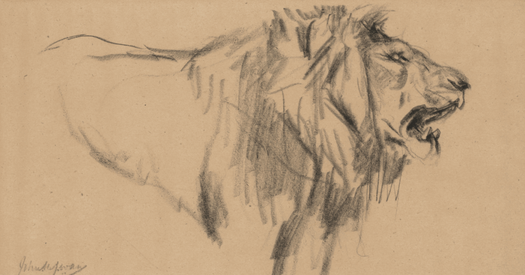 lion-drawing-easy