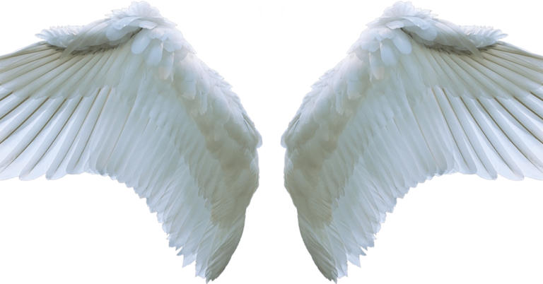 Angel Number 222 Meaning – Find Out What This Number Means
